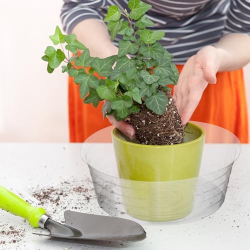 Hoolerry 15 Pcs Plastic Plant Saucer Clear Deep Tray, 12 Inch - Image 4