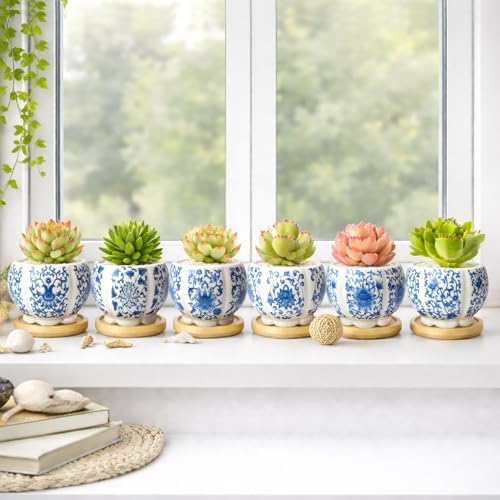 3.1 Inch Flower Pots Succulent Pots with Drainage Bamboo Tray Set of 6 - Image 7