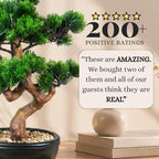 Artificial Bonsai Tree 16" Tall with Realistic Wood and Ceramic Pot, Fake Plants for Home, Bedroom and Office Desk, Japanese Decor - Image 3