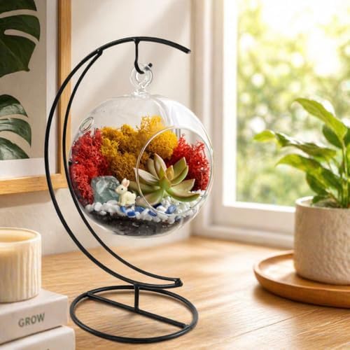Creations by Nathalie - 5" Glass Globe Succulent Terrarium Kit, Hanging DIY Starter Kit for Kids and Adult, Metal Stand, Reindeer Moss, Crystal & Rocks, Tools, Figurine (Live Plant Included) by CreationsbyNathalie