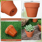 Sliner 150 Pcs Small Clay Pots 2 Inch Terracotta Plant Pots Plant Planters Bulk with Drainage Hole Mini Terra Cotta Cactus Flower Nursery Succulent Terracotta Planter for Indoor Outdoor Craft Wedding - Image 2