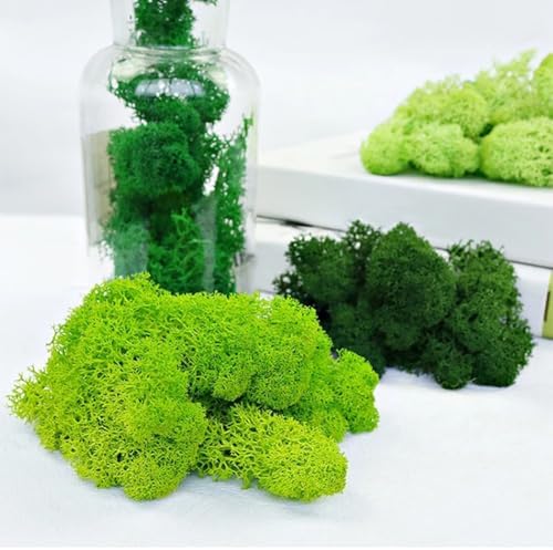 500g Artificial Moss for Crafts, Faux Decorative Plant for DIY Walls Wedding Party Table Centerpieces Home, Orange - Image 5