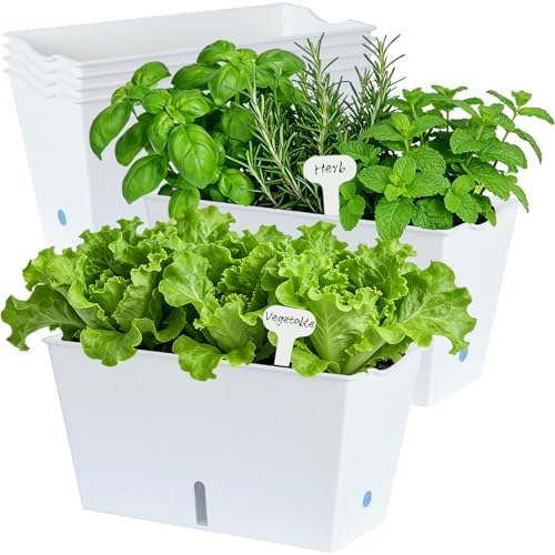 Window Box Planter 6 Pcs, 12.1 Inches Self Watering Plant Pots Rectangle Flower Pots with Drainage Holes and Breathable Trays, Vegetable Planters for Windowsill Patio Garden Balcony Porch Yard (White) - Image 3