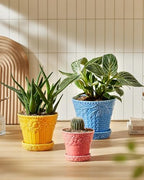 Metahom Ceramic Plant Pots, Assorted Colors, Set of 3, Embossed Design - Image 5
