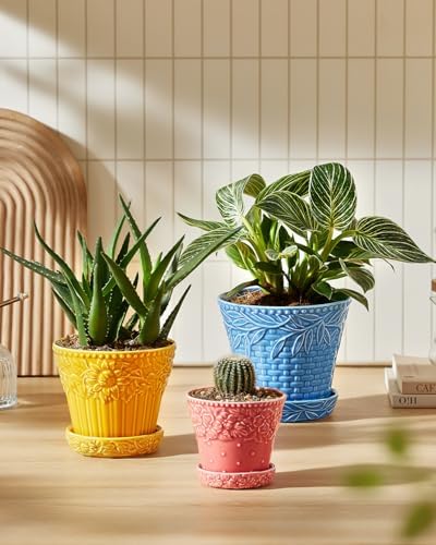 Metahom Ceramic Plant Pots, Assorted Colors, Set of 3, Embossed Design - Image 5