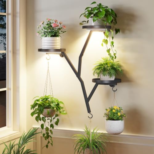LASZOLA Plant Hanger Holder Wall Mounted Floating Shelf Indoor, Metal Black by LASZOLA