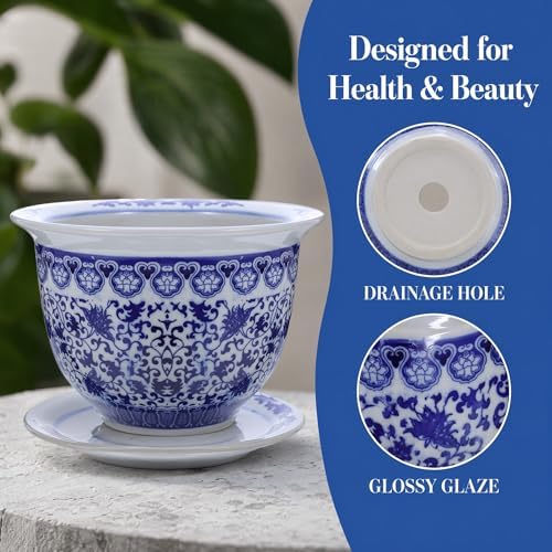 DOITOOL Blue and White Ceramic Planter - 6.7 in Pot with Drainage & Saucer - Image 6