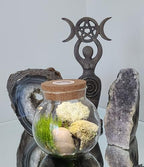 Create Your Serene Moss Sanctuary with The Unique Gardener Moss Bowl Terrarium Kit with LED Light - Complete Terrarium Supplies, Indoor Plants for Stress Relief & Air Purification! - Image 5