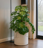 D'vine Dev 14 Inch Ceramic Planter Pot, Oatmeal, 94-O-G-8 - Image 6
