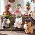 Mumufy 6 Pack Small Succulent Pots with Drainage Holes Horse Ceramic Pot by Mumufy