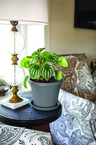 The HC Companies 14 Inch Round Prima Planter - Plastic Plant Pot with Rolled Rim for Indoor Outdoor Plants Flowers Herbs, Honey (Pack of 4) - Image 3