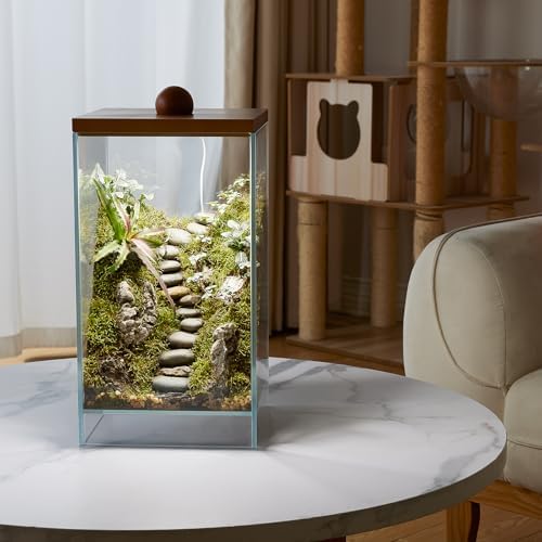 Large Glass Plant Terrarium: 13.7H+7.8W Terrarium with Light - Image 6