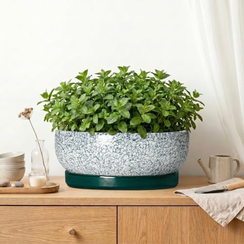 Pots for Succulents, 13 Inch Ceramic Bonsai Pots, Texture Green - Image 6