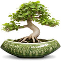Bonsai Planter 18 Inch - Large Ceramic Succulent Pots with Drainage Hole, Bonsai Pots for Indoor Outdoor Plant, Ceramic Flower Pot, Decorative Plant Pot, Garden Decor, Housewarming Gift, Green by Teagas