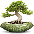 Bonsai Planter 18 Inch - Large Ceramic Succulent Pots with Drainage Hole, Bonsai Pots for Indoor Outdoor Plant, Ceramic Flower Pot, Decorative Plant Pot, Garden Decor, Housewarming Gift, Green by Teagas