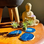 3 Small Blue Agate Geode Crystal Tillandsia Air Plant Holders - Includes Live Plant and Gift Box - Image 3