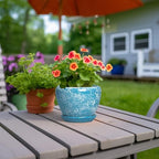 Ceramic Planters for Indoor Plants, 6 Inch Plant Pot, Bubble Blue - Image 4