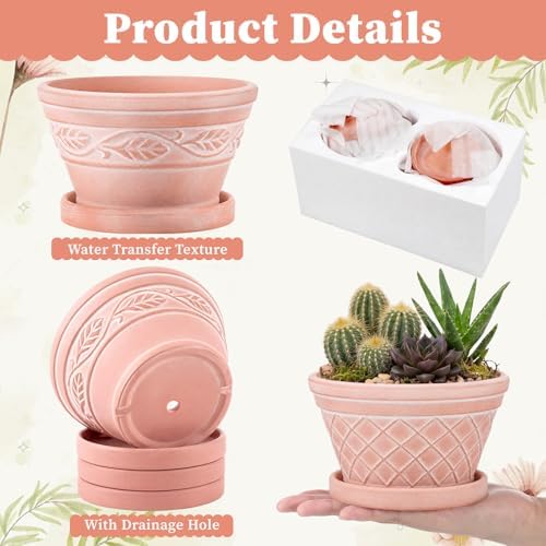 Maxdot Set of 6 Embossed Succulent Pots 6" Small Terracotta Pot, Wide Style - Image 3
