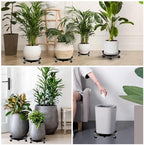 2 Pack Metal Plant Caddy With Wheels 16 Inch Black, Round Rolling Heavy Duty Plant Dolly, Heavy Plant Pot Mover Outdoors or Indoors, The Metal Wheel Can Rotate 360 Degrees or Lockable. - Image 6