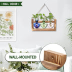 Plant Terrarium Propagation Stations Hydroponics - Image 3