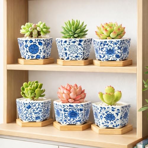 Succulent Pots, 3.7" Small Plant Pots with Drainage Tray, 6 Pack Small Planters for Indoor Plants, Ceramic Flower Pots for Cactus, Mini Succulents, Home Decor, Vintage Blue - Image 7