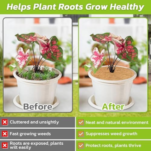 Legigo 6 Pack Coconut Fiber Mulch Ring Tree Plant Protector Mat, 18 Inch - Image 5