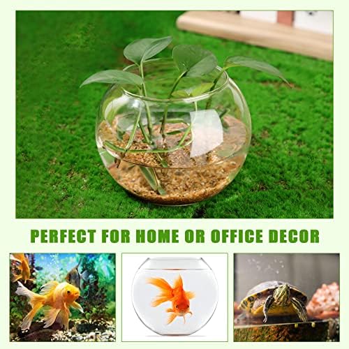 12 Pcs Fish Bowl Bubble Vase Bulk,3.5" h X 4.7" w - Image 4