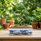 Villa Como 9" Large Blue and White Ceramic Bonsai Pot with Drainage Hole - Image 4