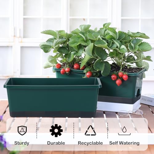 Oliz Window Box Planter 8 Pcs, 17 Inches Rectangle Flower Pots with Drainage Holes & Trays, Vegetable Planters for Windowsill Patio Garden Balcony Home Indoor Outdoor (Dark Green, 16 * 7 * 6 inch) - Image 3