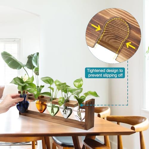 Plant Terrarium Hanging Propagation Stations Gift for Women - Image 2