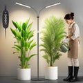 LBW Grow Lights for Indoor Plants, 75" Tall Full Spectrum Plant Grow Light by LBW