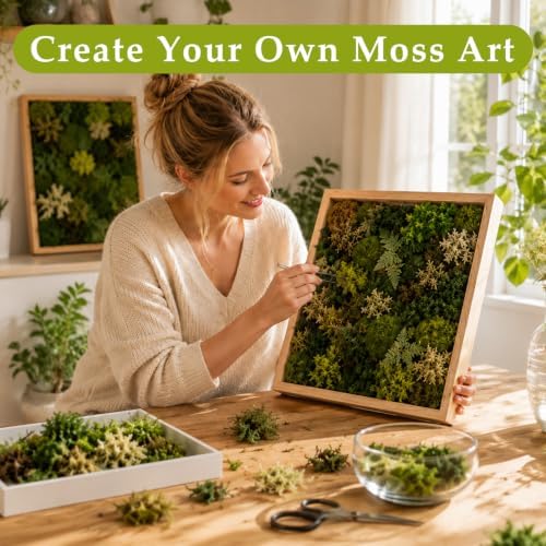 Preserved Reindeer Moss, Dark Green, 1.1 lb Real Moss for Crafts and Decor - Image 6