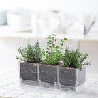 D'vine Dev 2-Pack Acrylic Herb Garden Planter Set, Clear, 76-V-D-2 - Image 4
