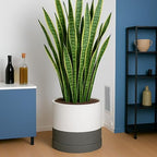 D'vine Dev 14 Inch Ceramic Planter Pot, White/Grey, 94-O-G-6 - Image 5