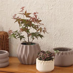 Planter Mocha Colour Terra Cotta Plant Pot Round Geometric Textures Flower with Drainage Holes Planter, for Room Balcony Garden Office (2 Sizes) Garden(Small) - Image 5