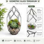 Ferrisland Handmade Glass Home Geometric Glass Succulent Flowerpot - Image 4