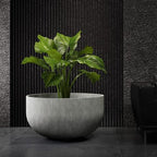 Roco Extra Large Fiberglass Bowl Planter, Round Indoor/Outdoor - Image 2
