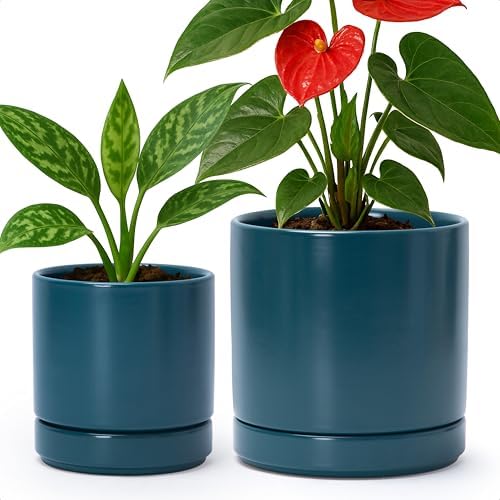 D'vine Dev 4.7 Inch & 6.5 Inch Ceramic Planter Pots for Plants with Drainage Hole and Saucer, Small Plant Pots Set, Teal, 94-G-S-9 by DvineDevPlanterPotsandStand