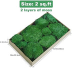 TurelinnG Preserved Moss Decor - Real Forest Moss, Moss for Crafts, Flexible for DIY Crafts, Home, Wall, Terrarium, Art Projects(Dark Green 2 sq.ft) - Image 2