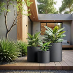 Kante Set of 3 Black Concrete Cylinder Round Planters for Modern Home - Image 5
