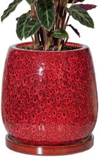 10.3 Inch Ceramic Glaze Plant Pot with Saucer, Flower Pots with Drainage Hole Mesh Net (Spot Red) by Unknown