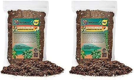 Gardenera Epipremnum Plant Potting Soil - All-Natural Blend for Thriving Epipremnum Plants - Boosts Root Health and Foliage Brilliance - 10 Quart by Gardenera