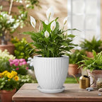 Ceramic Pots for Plants, 6 Inch Plant Pot with Drainage Hole and Saucer, Round Ceramic Flower Pots for Indoor Plants, Modern Small Succulent Planter, Room Home Decor, Plant Lover Gifts, White - Image 4