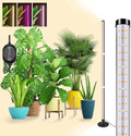 Grow Lights for Indoor Plants, 243 LEDs Plant Growing Lights with 3 Color Changing Red Blue Full Spectrum, 48inch Height Standing Indoor Plant Grow Lamp with 6/9/12H Timer for Indoor Plants by FREGENBO