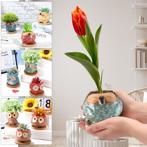 Cindeer 18 Pcs 2.5 Inch Owl Ceramic Succulent Planter Pots Mini Small Ceramic Pots with Drainage Hole and Bamboo Tray for Succulents Glaze Cactus for Home Garden Office Desk Decoration Gift Ideas - Image 3