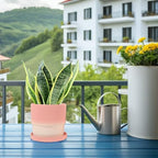 2pcs Ceramic Flower Pot Set with Drainage Holes for Indoor Plants Xmas - Image 6