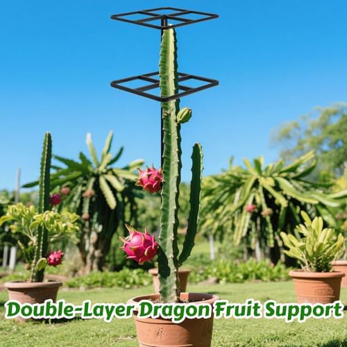 Adjustable Double-Layer Dragon Fruit Trellis Black Metal 1Pc - Image 2