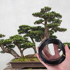 Alipis Aluminum Bonsai Wire Kit with Cutter 1mm 1.5mm 2mm Plant Training Wires 4 Rolls 40m for Tree Shaping and Bonsai Gardening Tools - Image 6