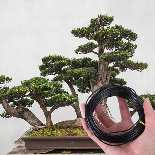 Alipis Aluminum Bonsai Wire Kit with Cutter 1mm 1.5mm 2mm Plant Training Wires 4 Rolls 40m for Tree Shaping and Bonsai Gardening Tools - Image 6