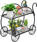S AFSTAR Metal Plant Stand, Two Tiered Garden Cart Shelf for Indoor Outdoor Home Garden Patio, Parisian Style Flower Pot Holder, Stable and Durable by Safstar